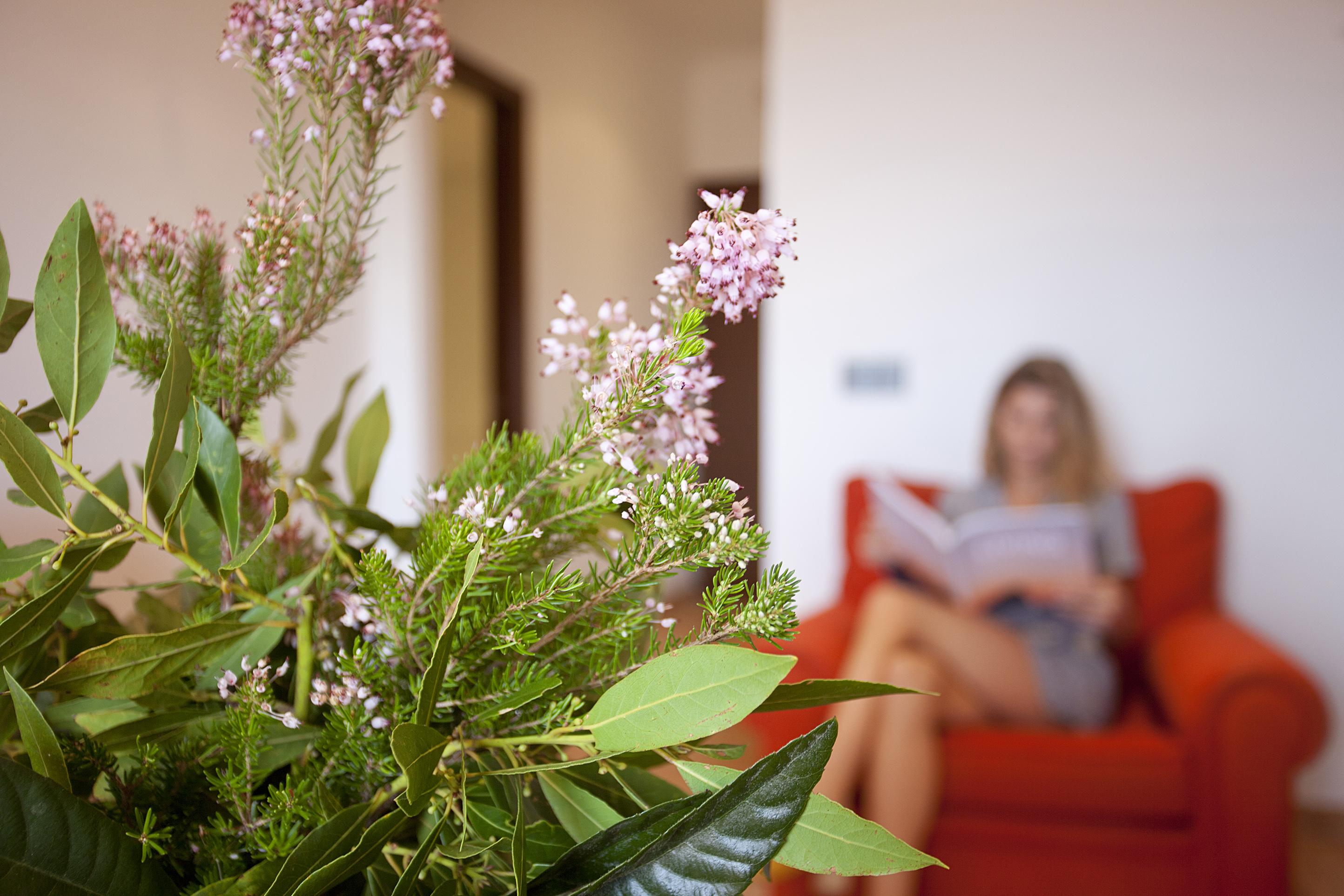 Hotel Maristel Hotel&spa Estellencs (Mallorca)